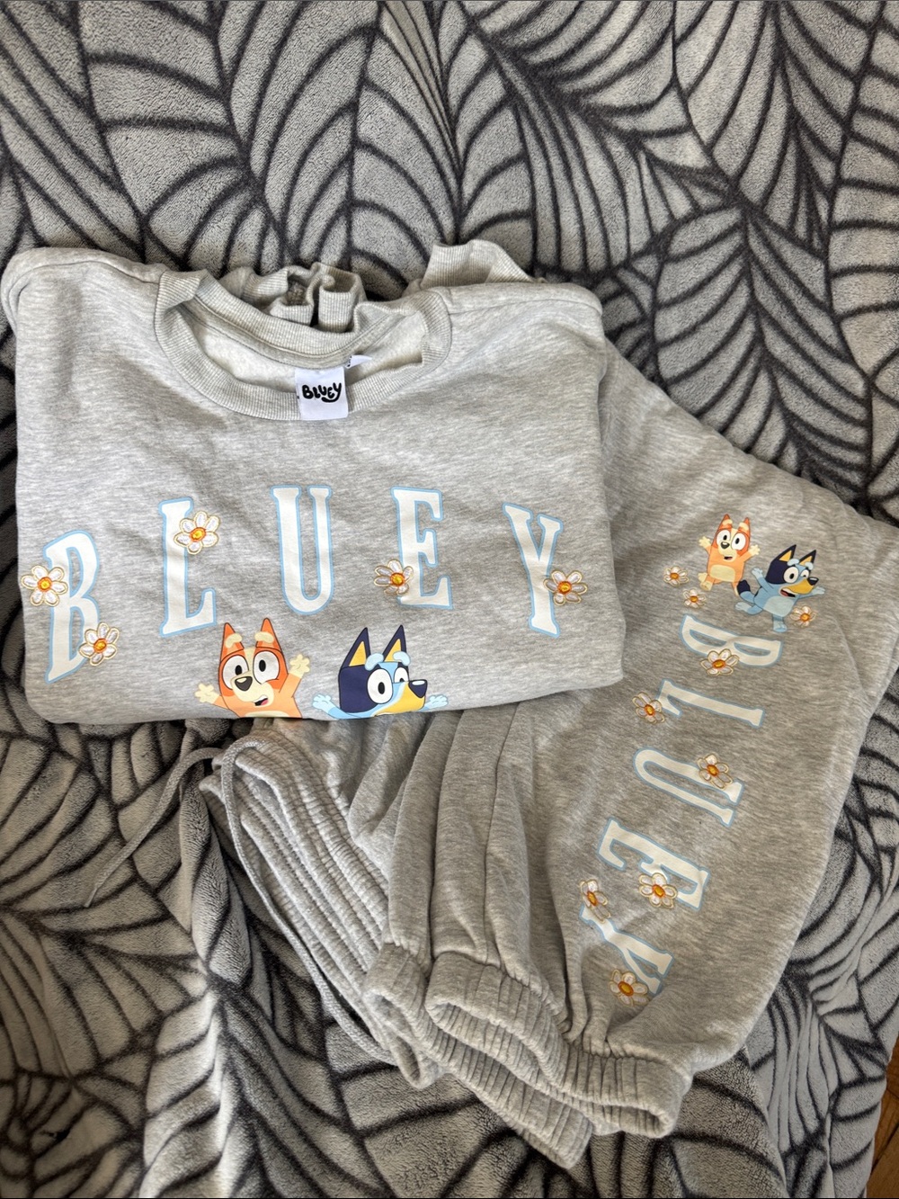 “Bluey” Cropped Sweatshirt & Jogger Sweatpants Matching Set - Women’s XXL, Grey
